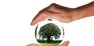 Ekologiczny biznes – oszczędne i przyjazne środowisku
