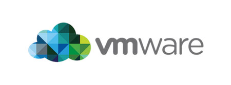 Rozwój firmy z wirtualizacją VMware vSphere 6