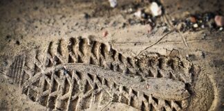 Co jeśli wykładowca nie wpisał oceny?