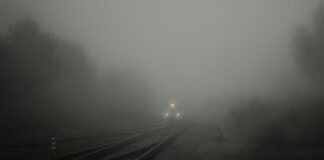 Czy da się połknąć język Wikipedia?